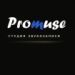 Студия звукозаписи "Promuse"